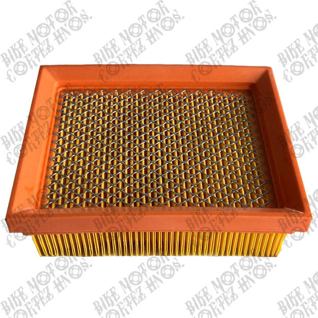 Imagen de Filtro Aire Tracker 250 dy250Tekken M1r200 M1r250 Skr200 Skr250